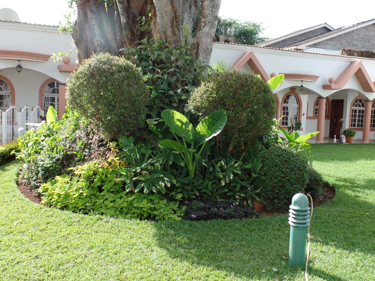 Villa Leone Boutique Hotel نيروبي المظهر الخارجي الصورة
